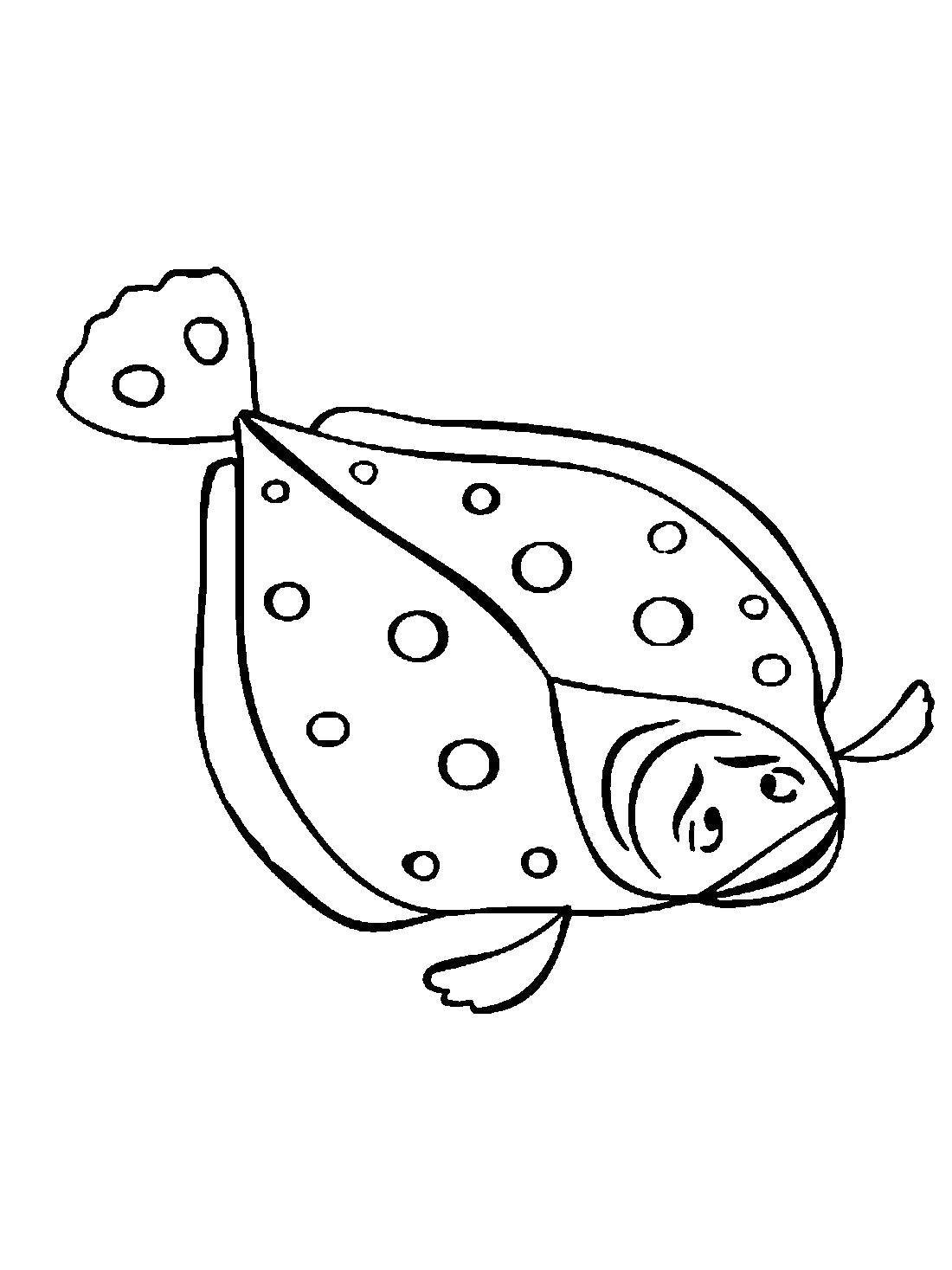 Coloring SKAT polka dot. Category fish. Tags:  SKAT, eyes, smiles.