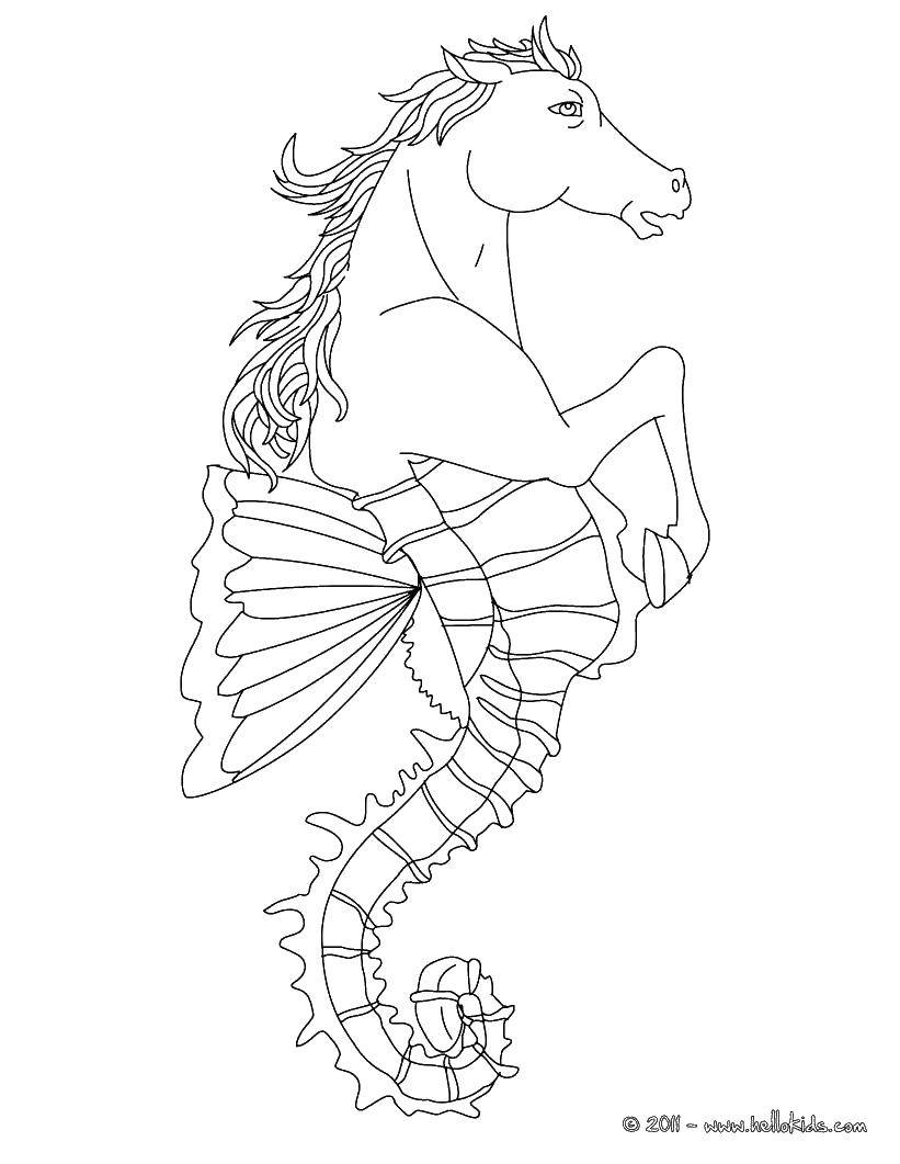 Название: Раскраска Смесь моркого конька и лошади. Категория: Волшебные создания. Теги: Волшебное создание.