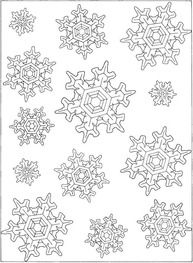 Coloring Snowflakes. Category winter. Tags:  snowflakes, ice.