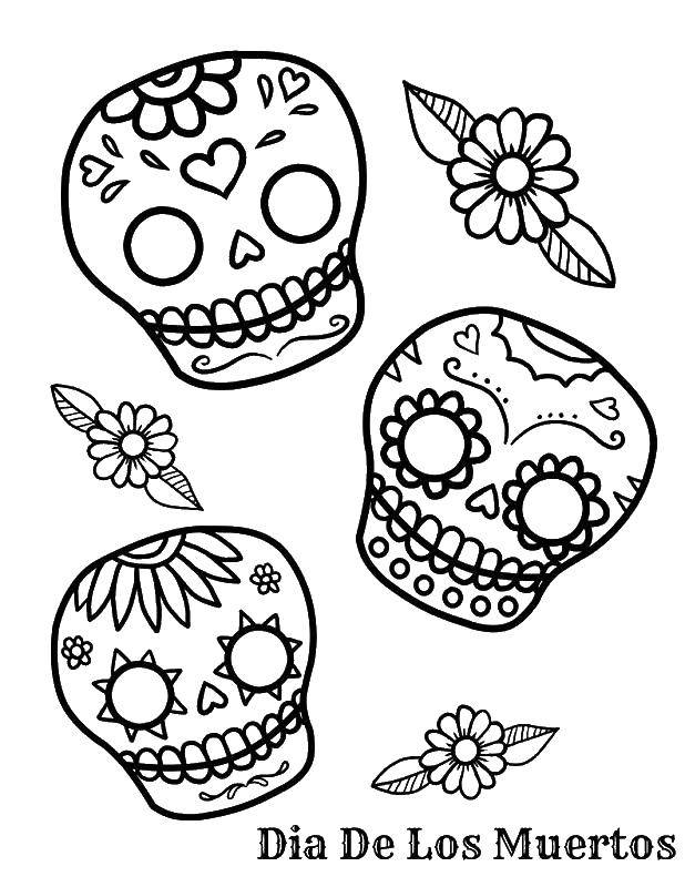 Coloring Three painted skulls. Category Skull. Tags:  skull, patterns, flowers.