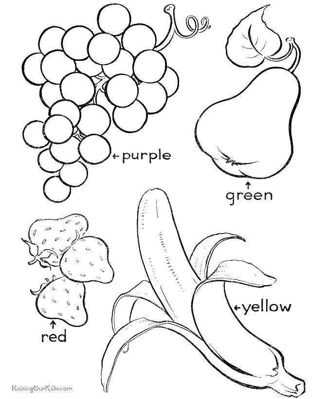 Название: Раскраска Цвета фруктов. Категория: Обучающие раскраски. Теги: клубника, банан, груша, виноград.
