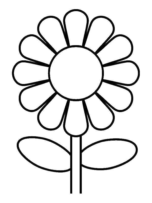 Coloring Flower sunflower easy for kids. Category flowers. Tags:  sunflower.