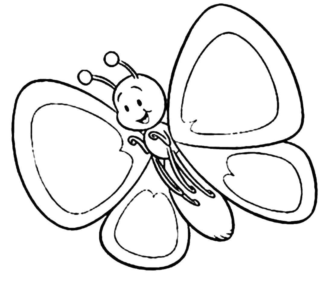 Название: Раскраска Улыбающаяся бабочка. Категория: насекомые. Теги: бабочка.