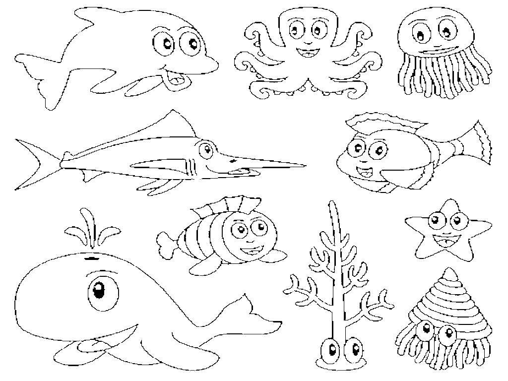 Название: Раскраска Животные океана. Категория: Морские животные. Теги: рыба меч, кит, медуза, осьминог.