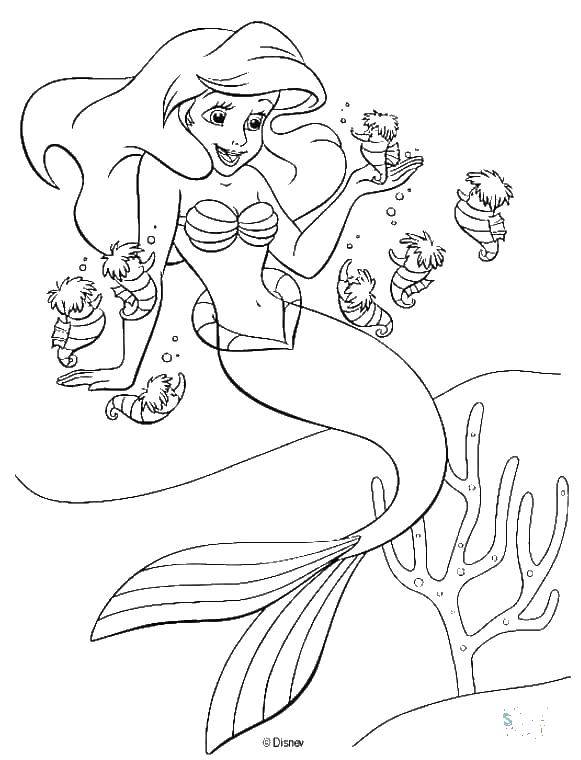 Название: Раскраска Ариэль и маленькие морские коньки. Категория: раскраски. Теги: русалка, морской конек, хвост.