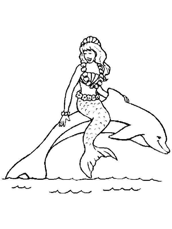 Coloring Dolphin and mermaid. Category coloring. Tags:  mermaid, Dolphin, tail.