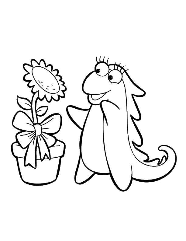 Coloring ISA and sunflower. Category coloring. Tags:  iguana, flower pot.