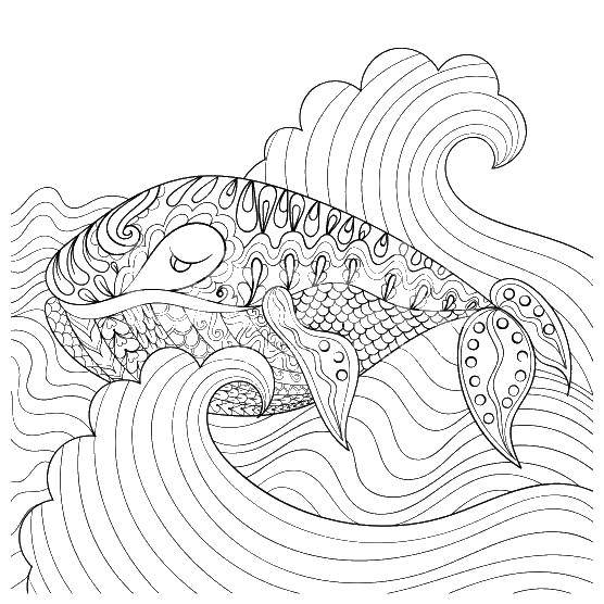 Название: Раскраска Кит в волнах. Категория: раскраски. Теги: кит, волны, узоры.