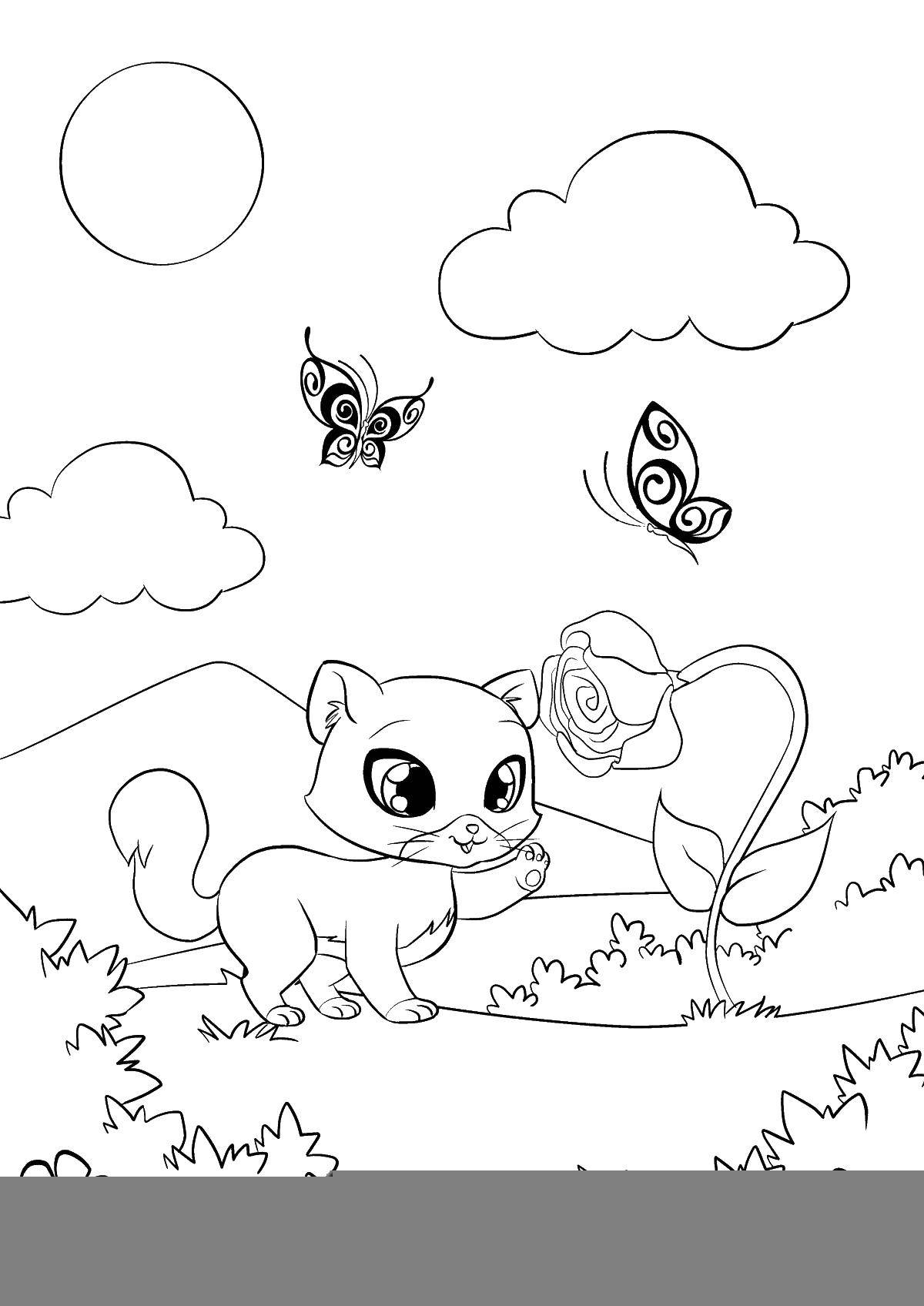 Coloring Kitty and rose. Category kittens. Tags:  kitty, rose, butterfly.