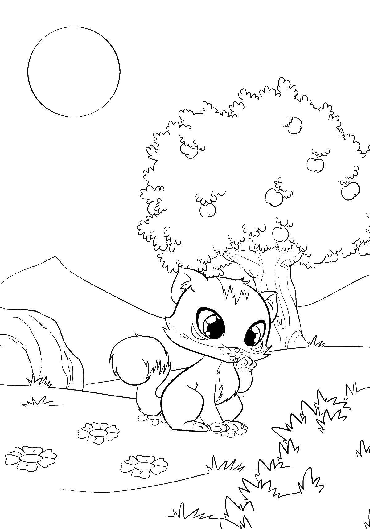 Coloring Kitten and the Apple tree. Category kittens. Tags:  kitten, flowers, Apple.