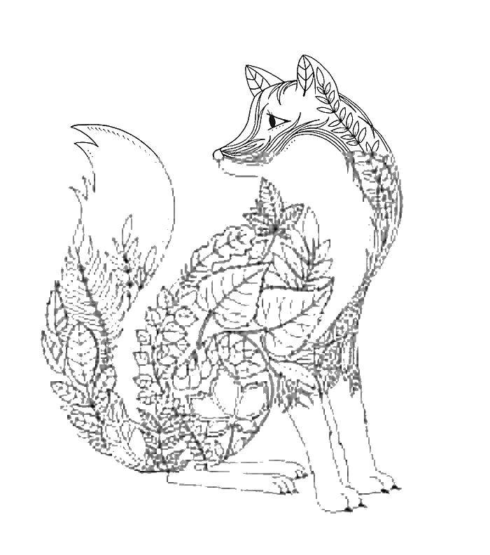 Coloring Fox with patterns. Category coloring. Tags:  Fox, patterns, tail.