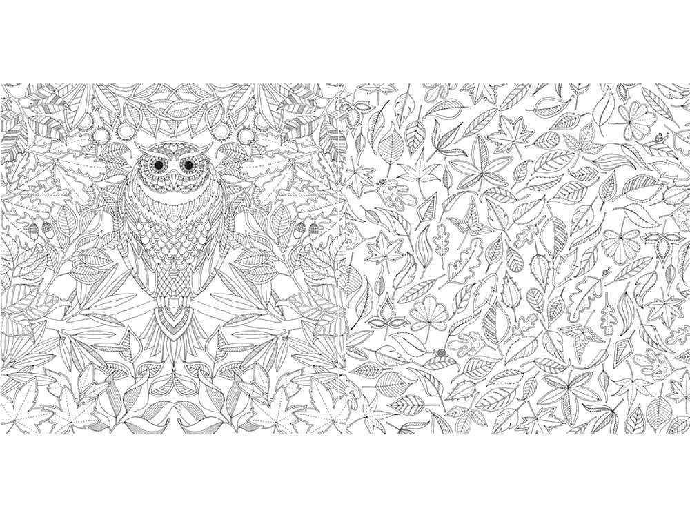 Coloring Deciduous world of owls. Category coloring antistress. Tags:  Bathroom with shower.