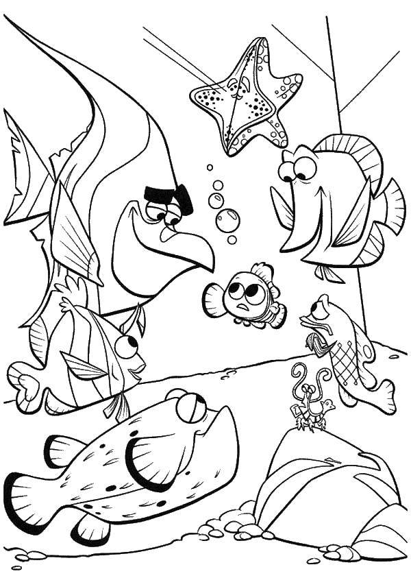 Coloring Nemo and fish. Category coloring. Tags:  Nemo, fish, lobster.