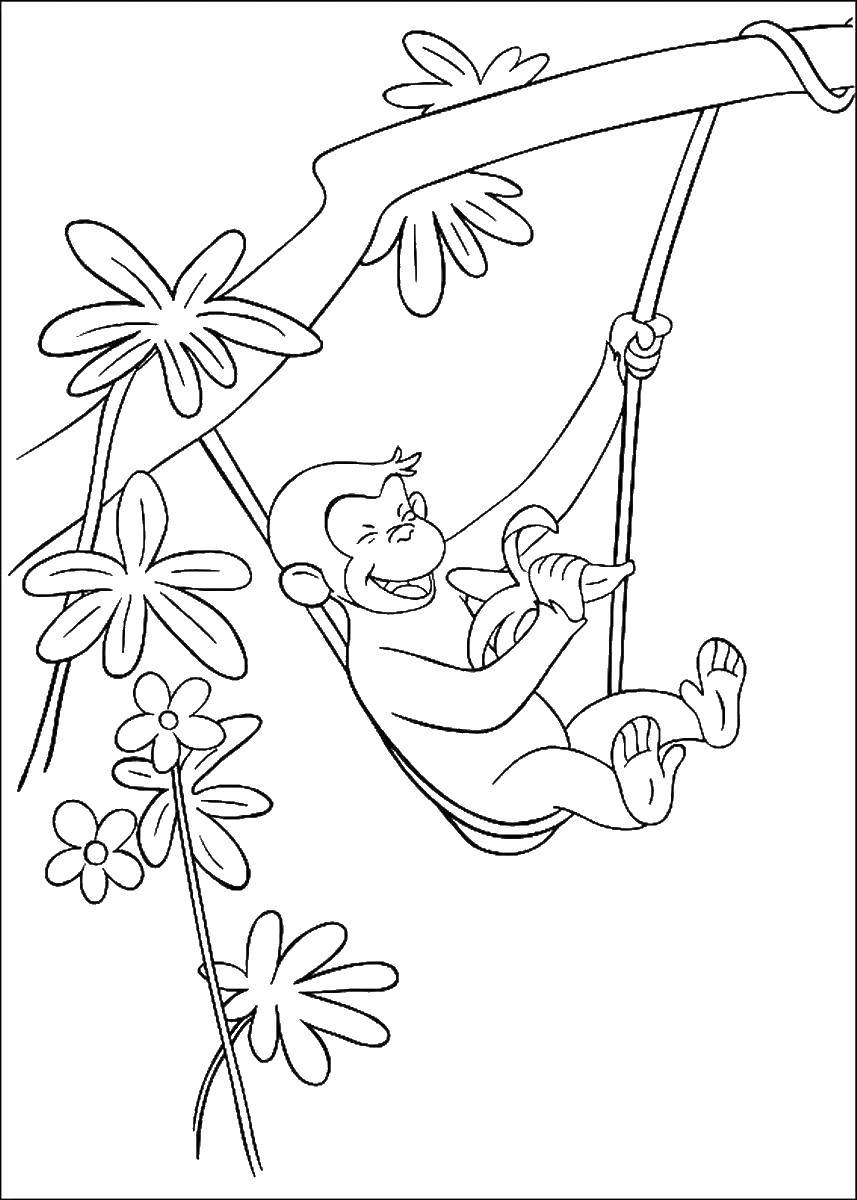 Coloring Happy monkey banana. Category coloring. Tags:  Cartoon character.