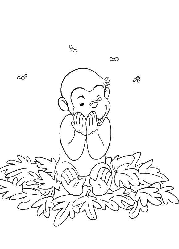 Coloring Monkey in the leaves. Category coloring. Tags:  Cartoon character.
