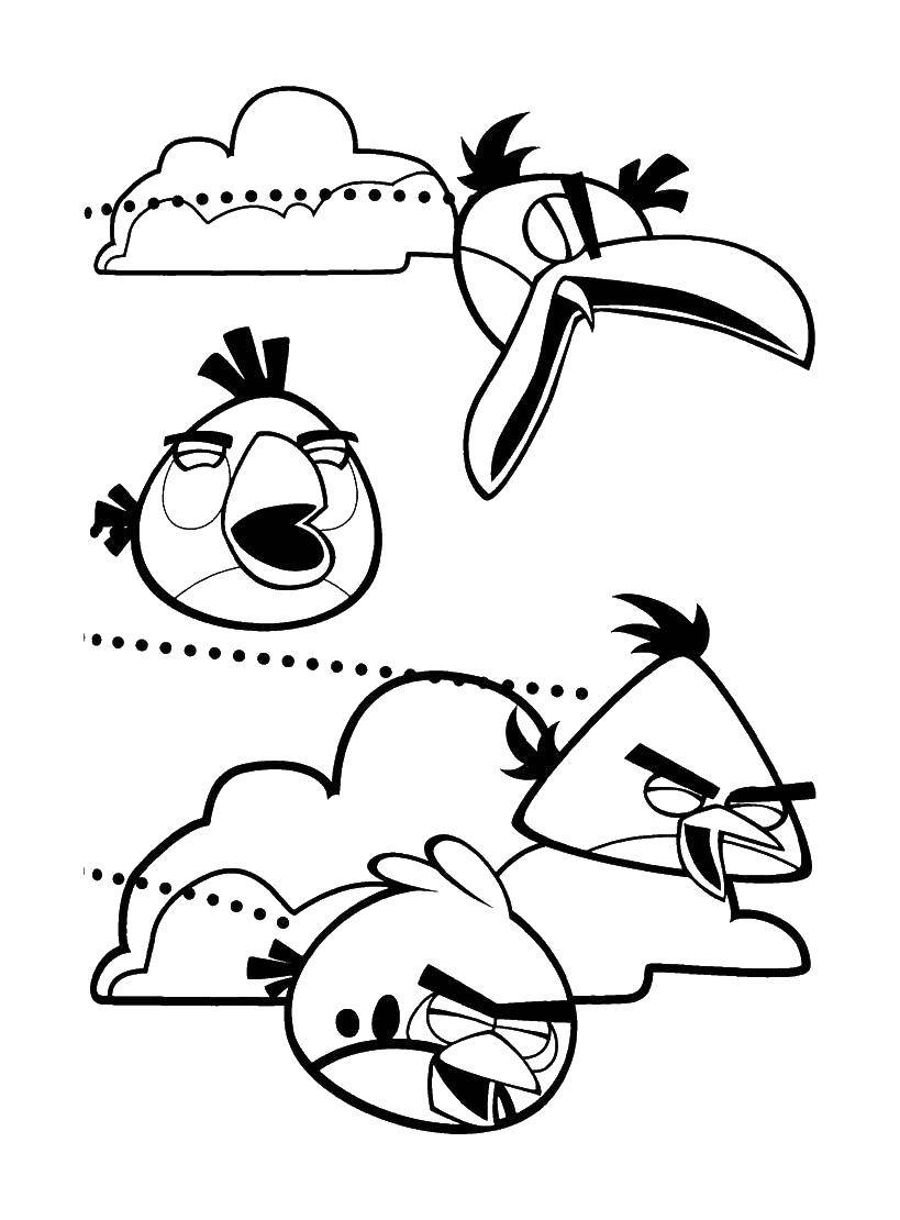 Название: Раскраска Пеликаны и птицы из angry birds. Категория: angry birds. Теги: angry birds, птица.