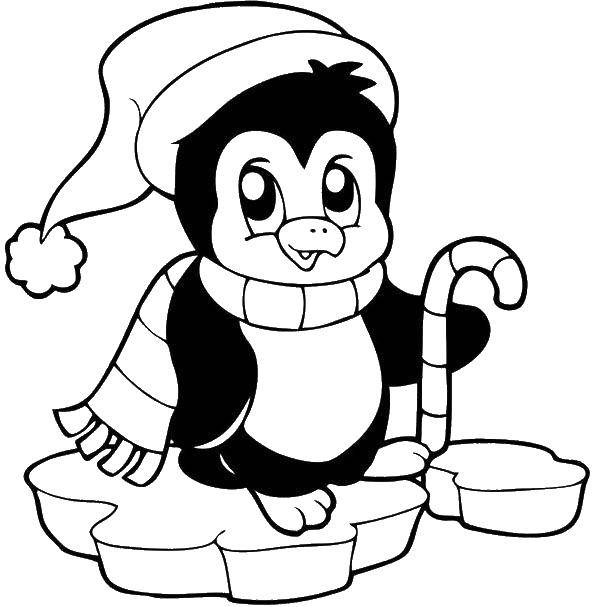 Название: Раскраска Пингвин с шарфом. Категория: рождество. Теги: пингвин, шарф, шапка.