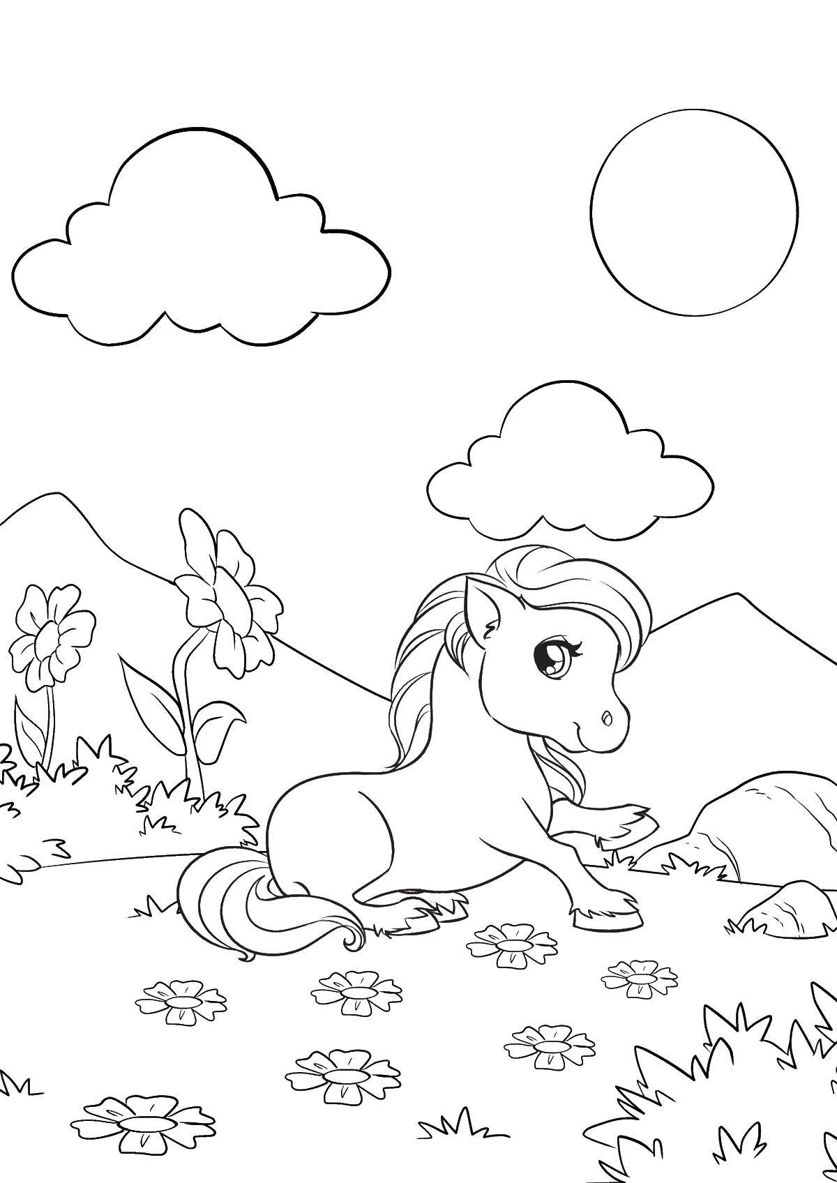 Название: Раскраска Пони на лугу. Категория: мой маленький пони. Теги: пони, цветы, трава.