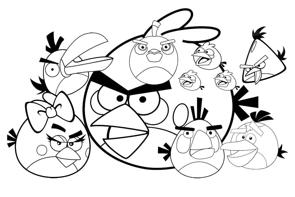 Coloring Birds angry bird. Category angry birds. Tags:  bird, angry birds.