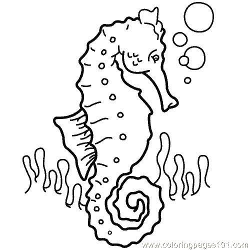 Coloring Bubbles and seahorse. Category coloring. Tags:  seahorse, seaweed, bubbles.