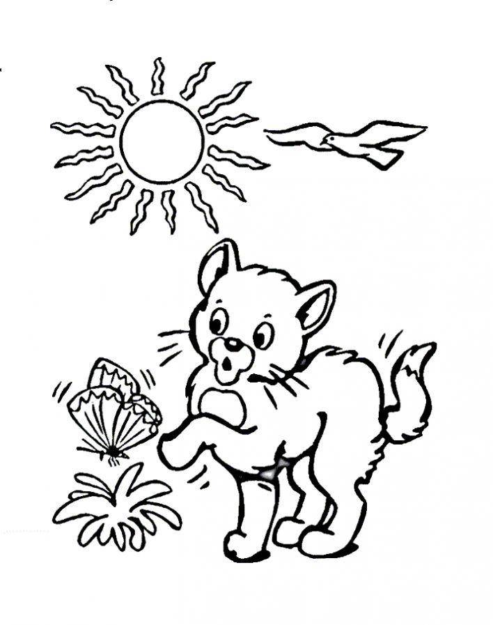 Название: Раскраска Рисунок кота с бабочкой. Категория: домашние животные. Теги: кошка, кот.