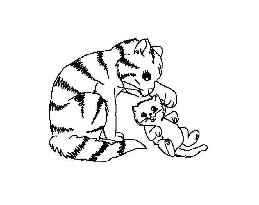 Раскраска Кошка мама и котёнок, скачать и распечатать раскраску раздела Раскраски онлайн