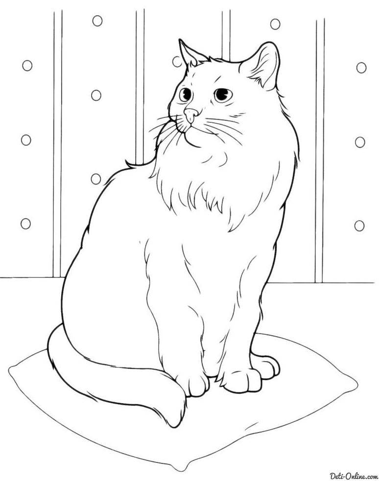 Coloring Drawing of a fluffy cat. Category Pets allowed. Tags:  cat, cat.