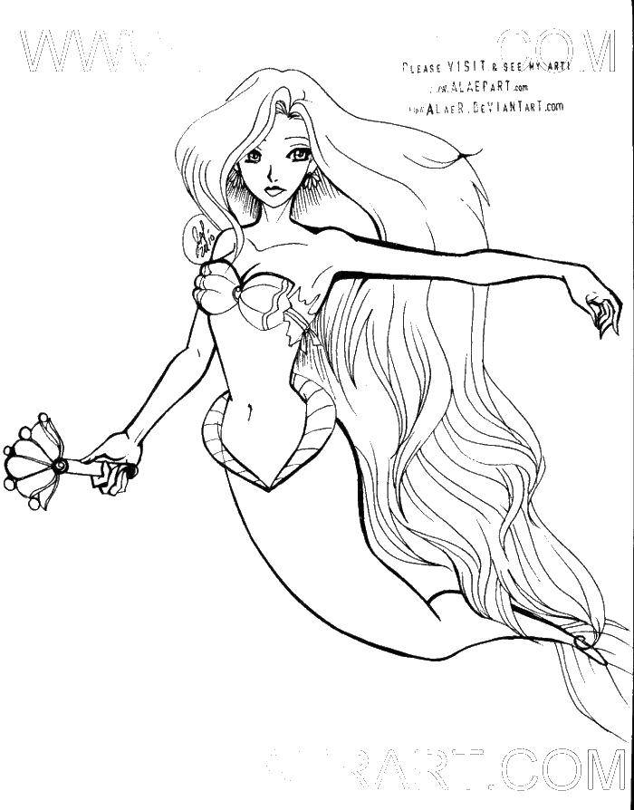 Coloring The mermaid and the comb. Category coloring. Tags:  mermaid, hair, comb.