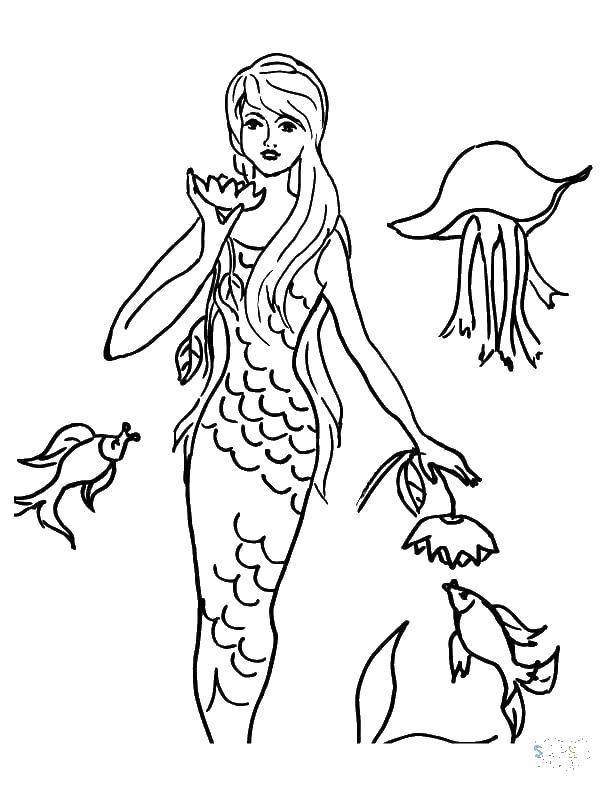 Coloring Mermaid and fish. Category coloring. Tags:  mermaid.