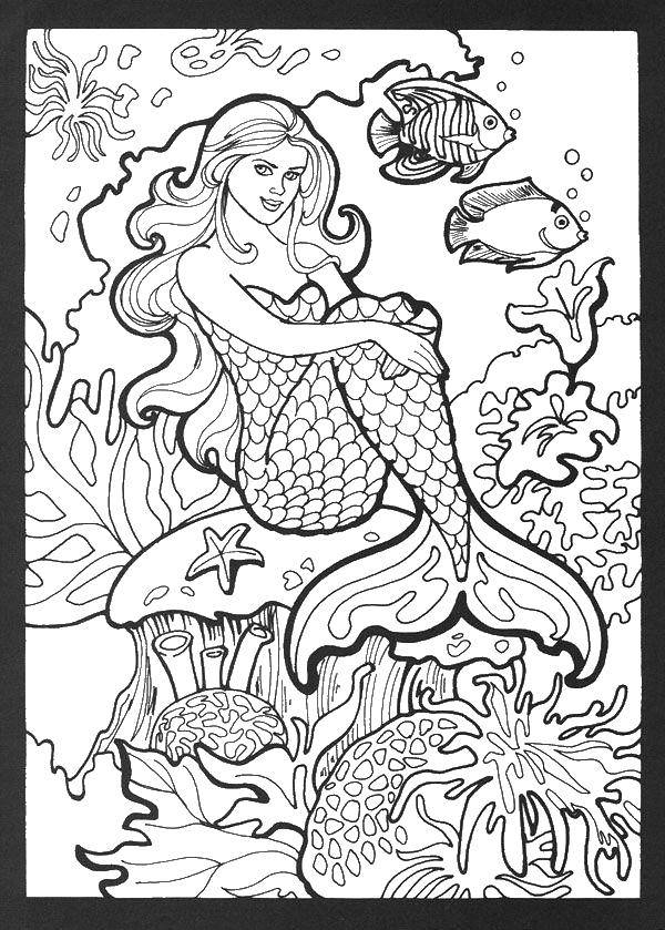Coloring Fish and mermaid. Category coloring. Tags:  mermaid, fish, seaweed.