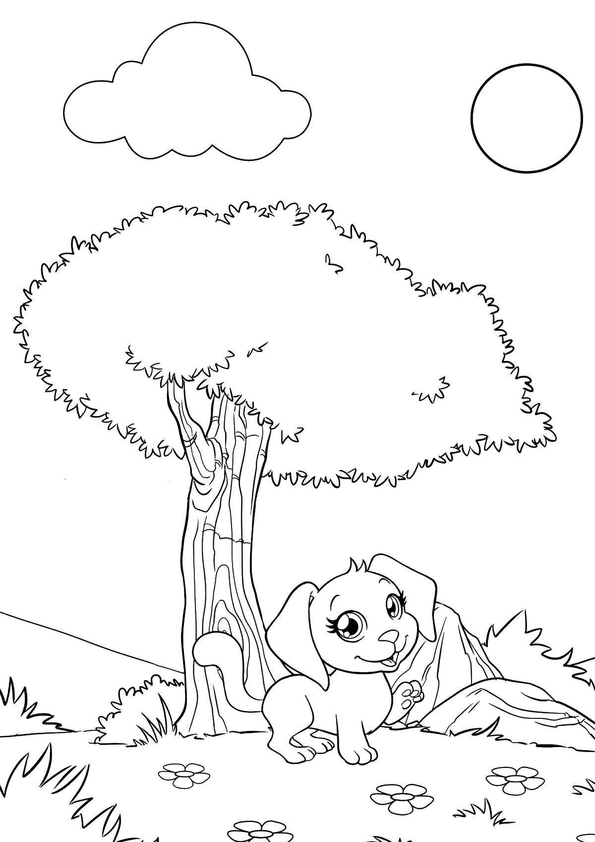 Название: Раскраска Щенок и дерево. Категория: собаки щенки. Теги: щенок, дерево, цветы.