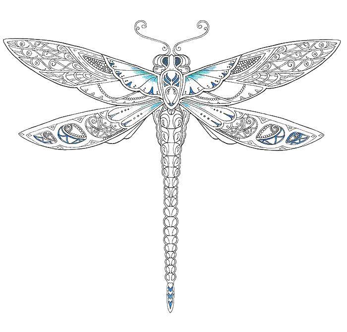Coloring Dragonfly designs. Category coloring. Tags:  dragonfly, patterns, wings.