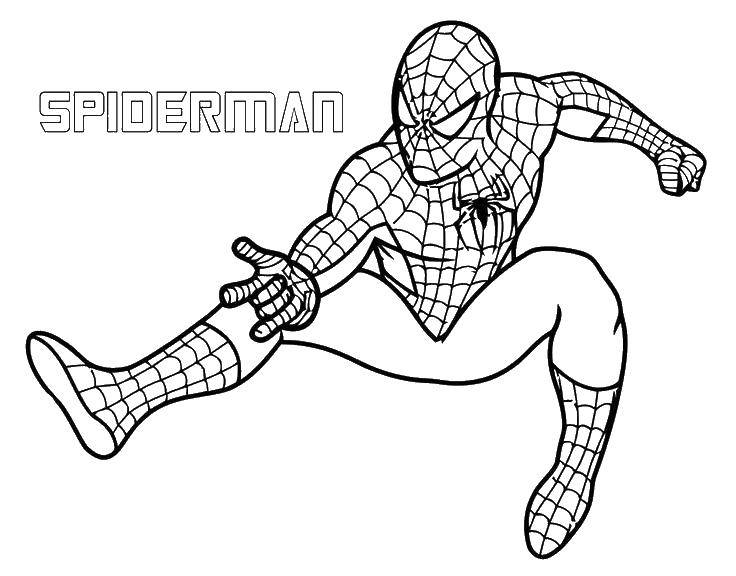Название: Раскраска Супергерой человек паук. Категория: супергерои. Теги: человек, паук, паутина.