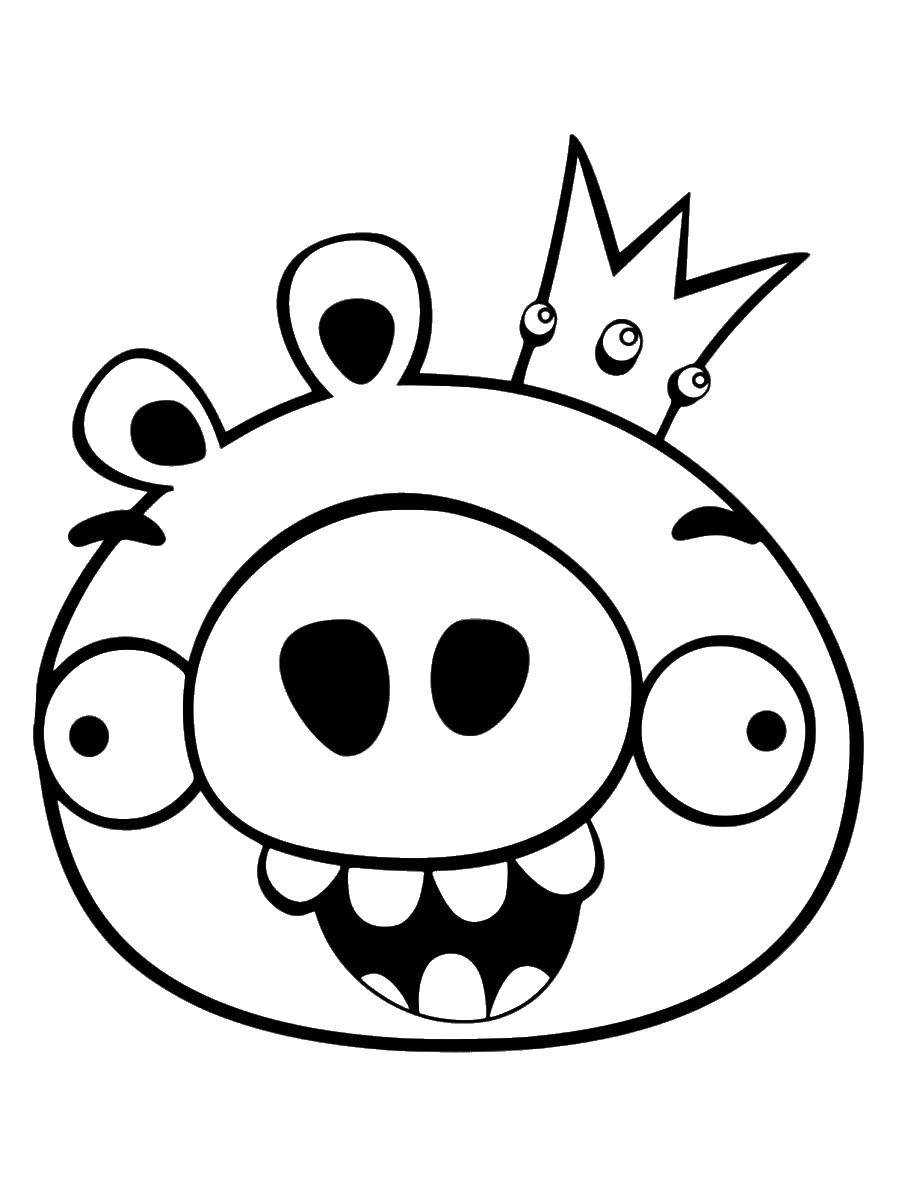 Coloring Pig from angry birds. Category angry birds. Tags:  pig, angry birds, crown.