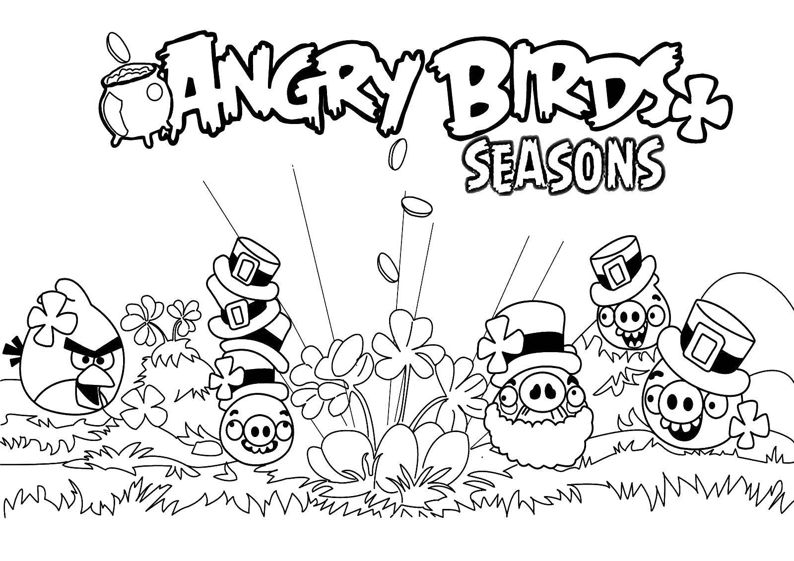 Название: Раскраска Свинки и птички из angry birds. Категория: angry birds. Теги: angry birds, свинья, птица.
