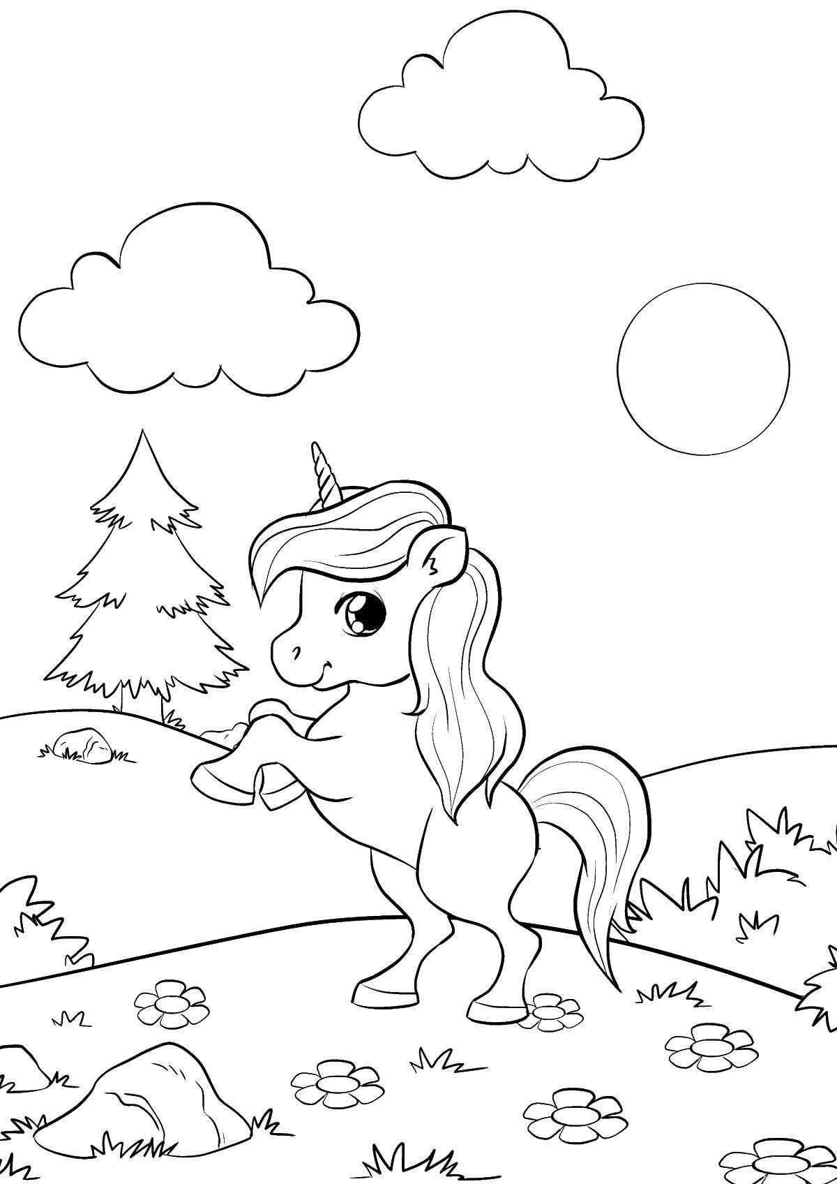 Coloring little unicorn in the meadow. Category my little pony. Tags:  unicorn, trees, flowers.