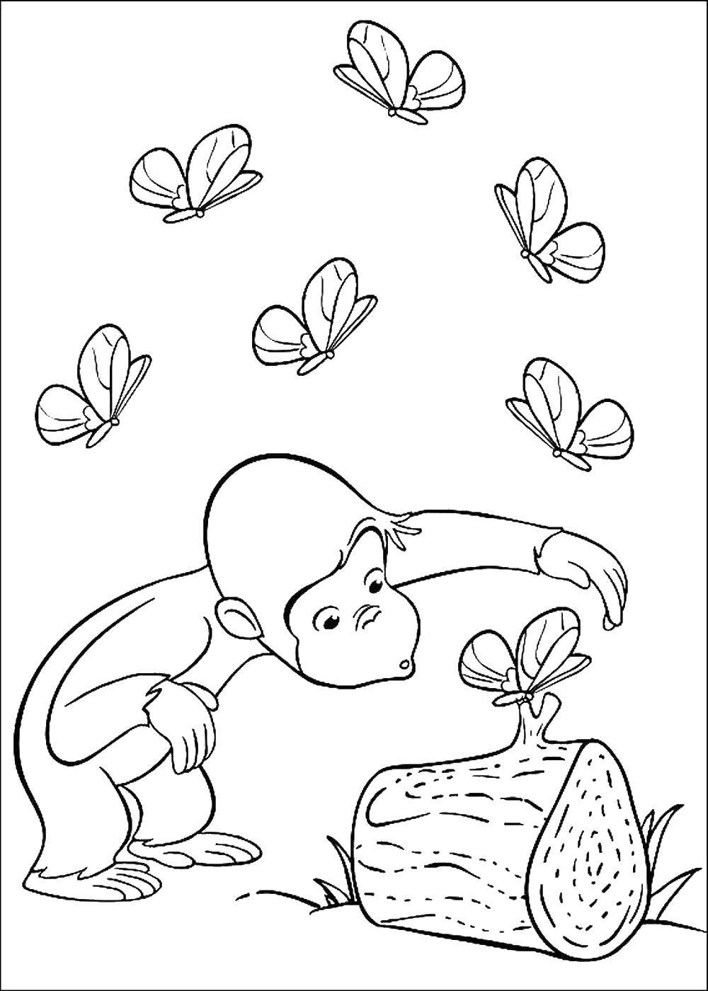 Coloring Butterfly and monkey. Category coloring. Tags:  monkey, butterfly.