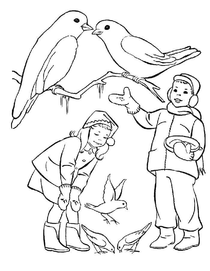 Название: Раскраска Дети кормят птичек зимой. Категория: птицы. Теги: птицы, кормушка.