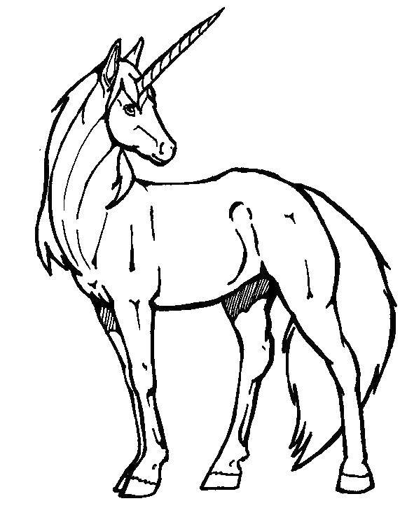 Название: Раскраска Единорог с длинным рогом. Категория: день святого валентина. Теги: единорог, конь.