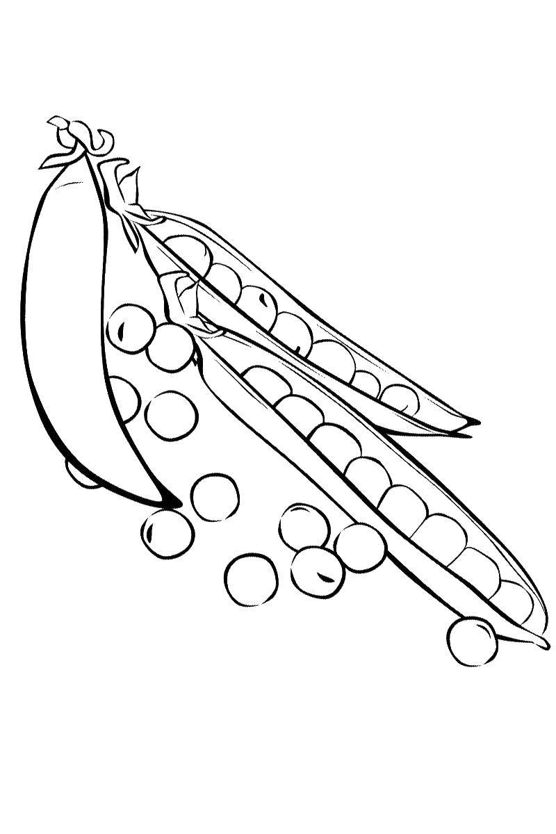 Coloring Polka dot. Category vegetables. Tags:  pod, peas.