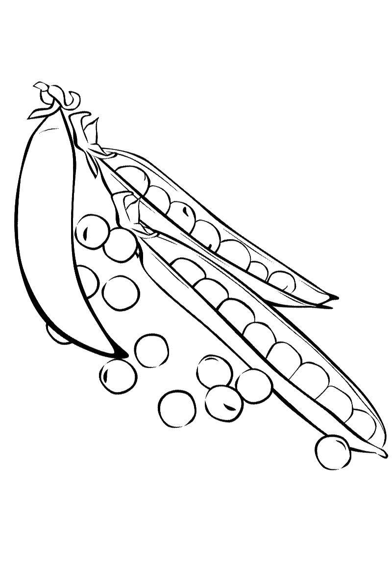 Название: Раскраска Горошек. Категория: овощи. Теги: стручок, горошек.
