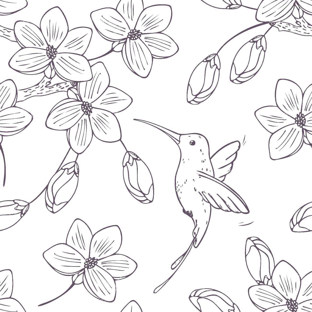 Название: Раскраска Колибри и цветы. Категория: птицы. Теги: колибри, цветы, клюв.