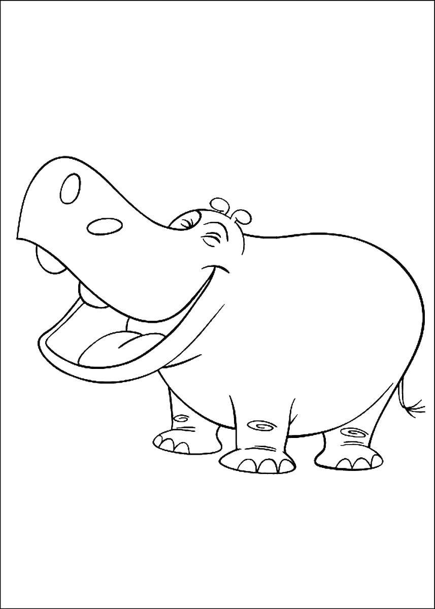 Coloring Outline Hippo. Category coloring. Tags:  Hippo, loop.