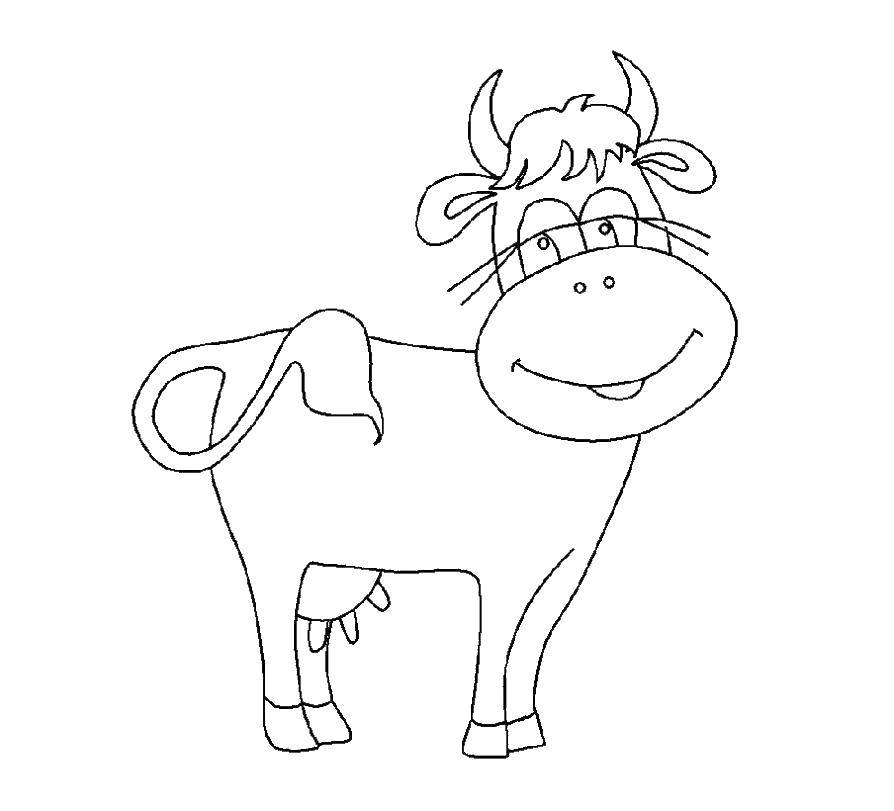 Название: Раскраска Корова с длинными ресницами. Категория: домашние животные. Теги: корова, вымя, ресницы.
