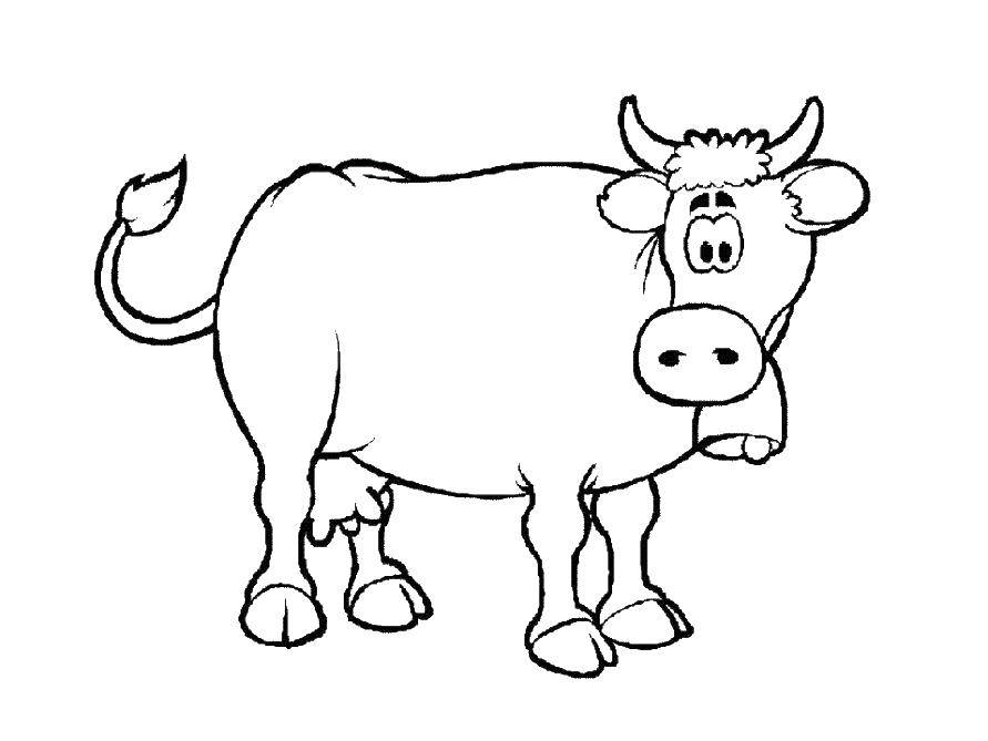 Coloring Cow with bell. Category Pets allowed. Tags:  cow bell.