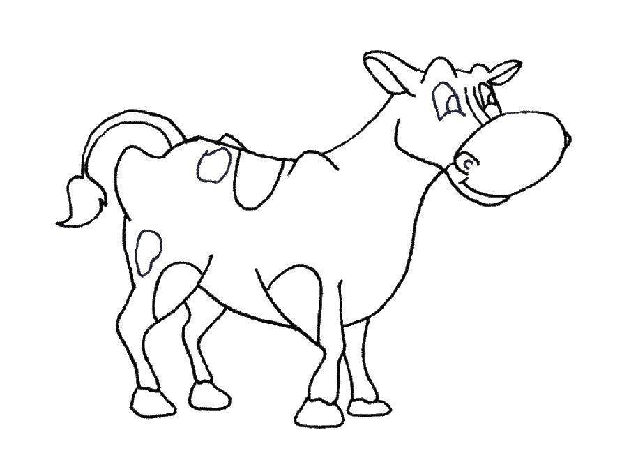 Название: Раскраска Корова в пятнышко. Категория: домашние животные. Теги: корова, вымя.