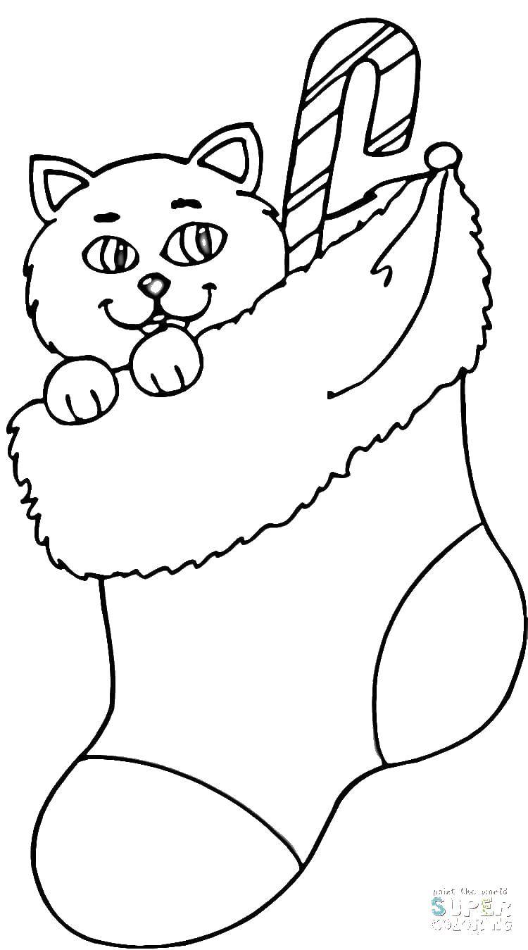 Название: Раскраска Котенок в носке. Категория: рождество. Теги: носок, котенок, леденец.