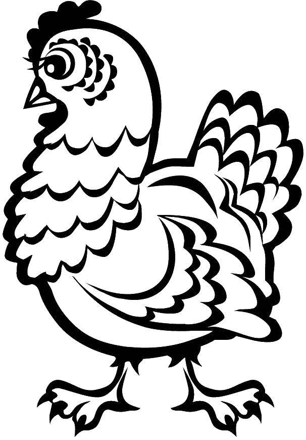 Название: Раскраска Курица с ресничками. Категория: Контуры для вырезания птиц. Теги: курица, реснички, клюв.