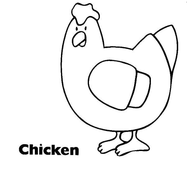 Coloring Chicken. Category The contours for cutting out the birds. Tags:  chicken, beak, wing.