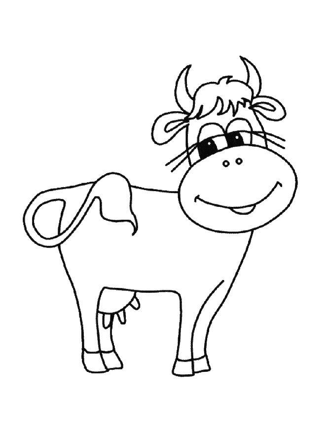 Название: Раскраска Маленькая корова. Категория: домашние животные. Теги: корова, вымя.